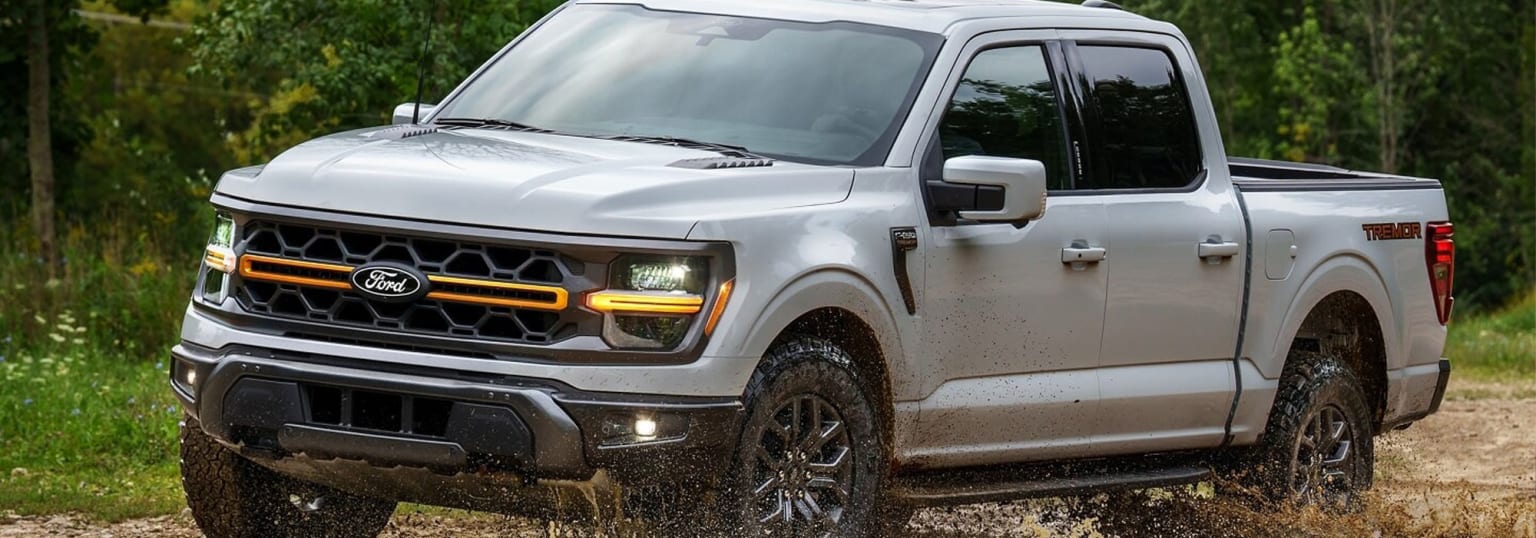The image displays a silver pickup truck parked in a grassy, wooded area, with the front of the vehicle prominently displayed in the foreground.