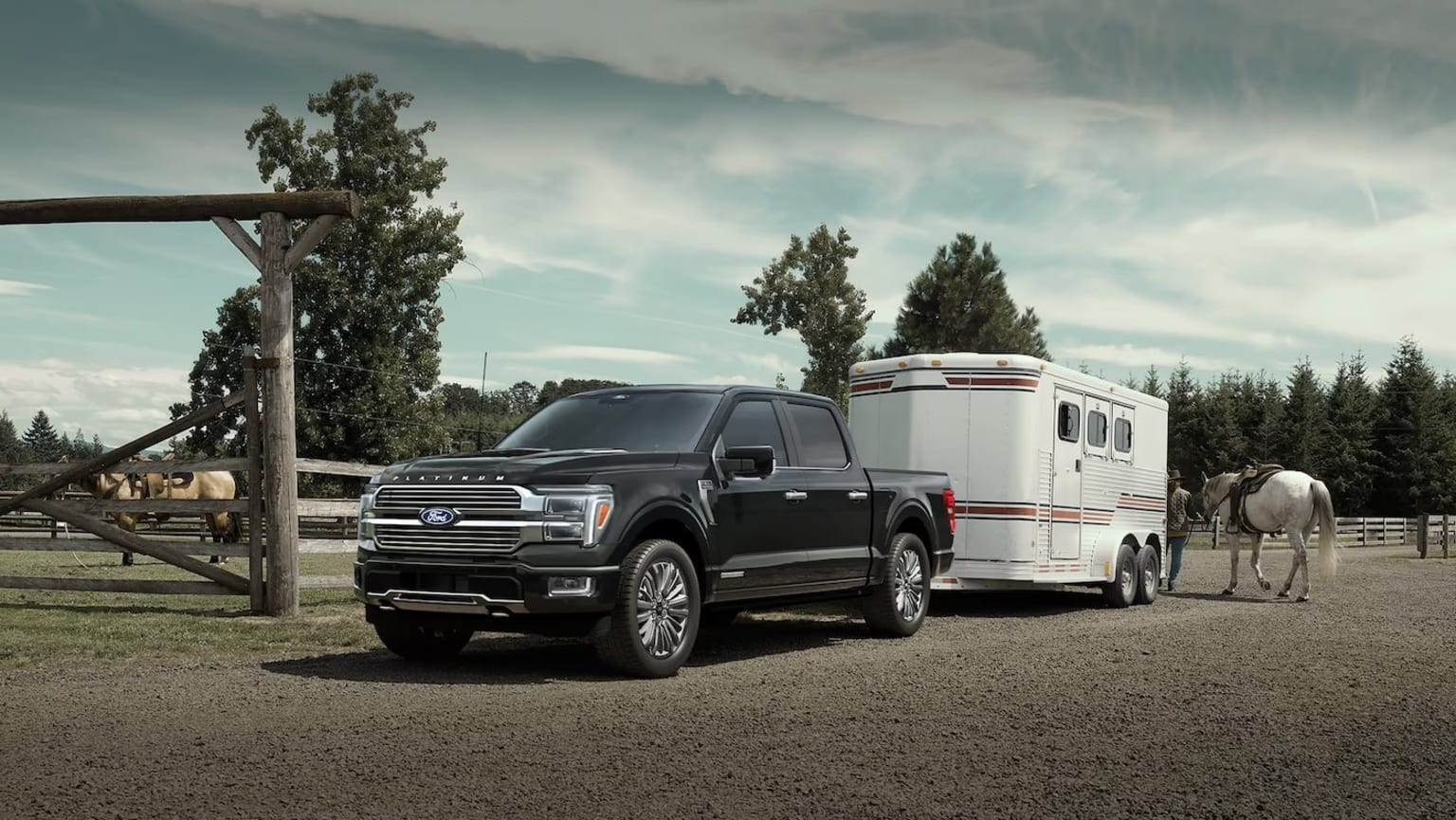 A 2025 Ford F-150 towing a  white horse-drawn trailer in a grassy field, surrounded by tall pine trees and a cloudy sky.
