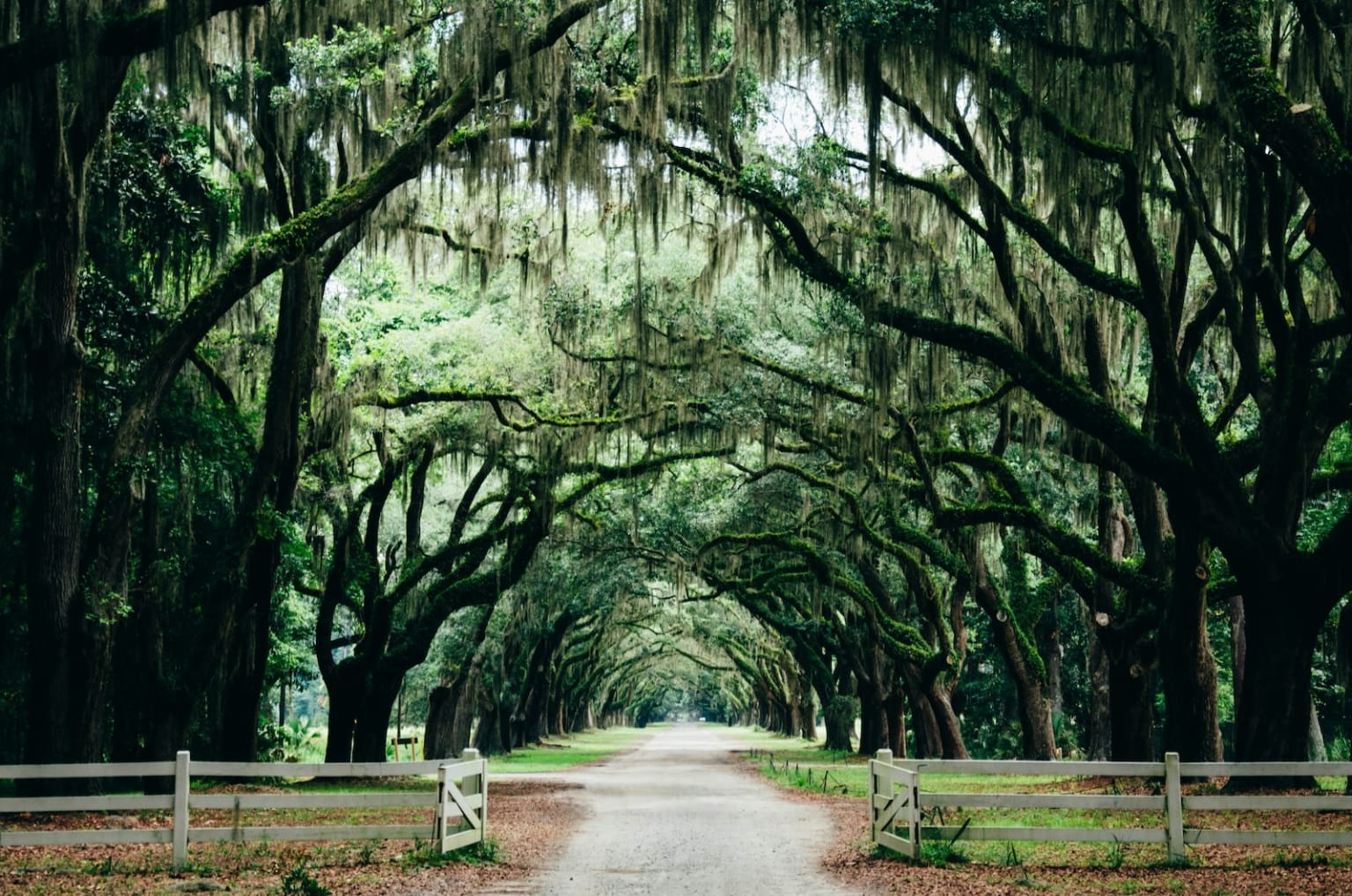 Driving Through the Seasons: Expert Tips for Your Lincoln in Savannah
