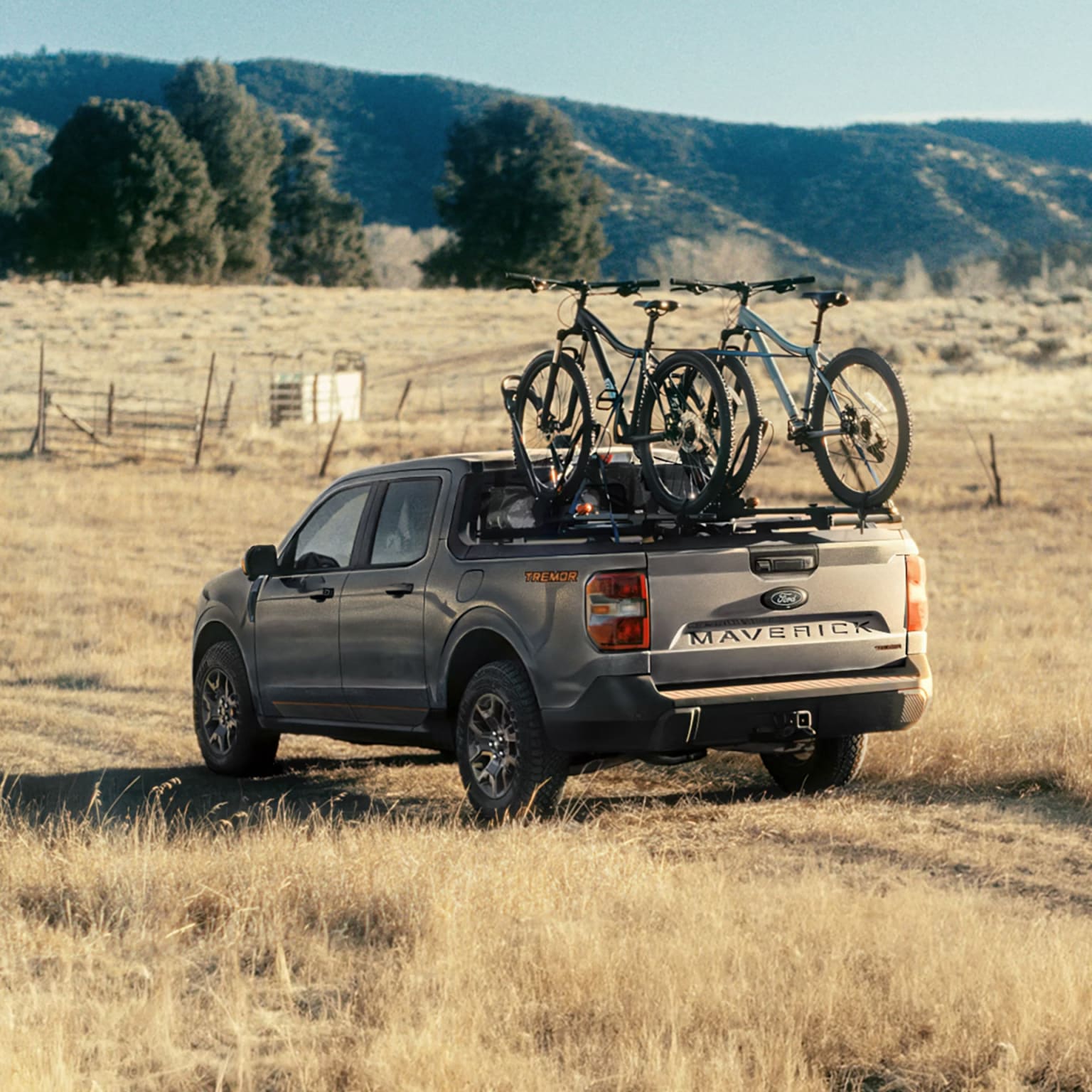 A silver pickup truck with a bike rack on the back parked in a grassy field, with mountains and trees visible in the background.