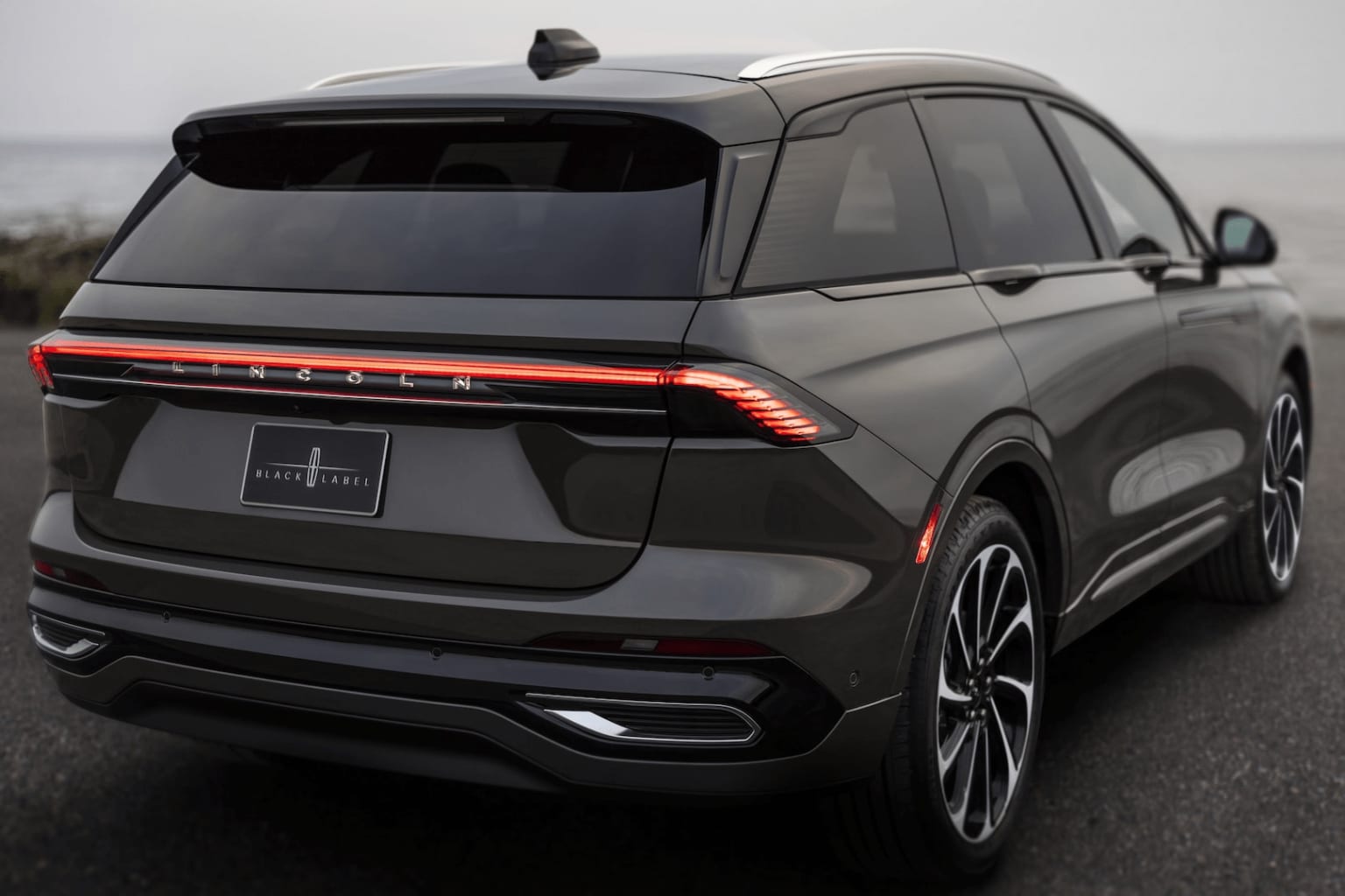 Rear view of a sleek and modern-looking SUV or crossover vehicle with a distinctive black exterior and bold design elements, parked on a road or driveway with a blurred natural landscape in the background.