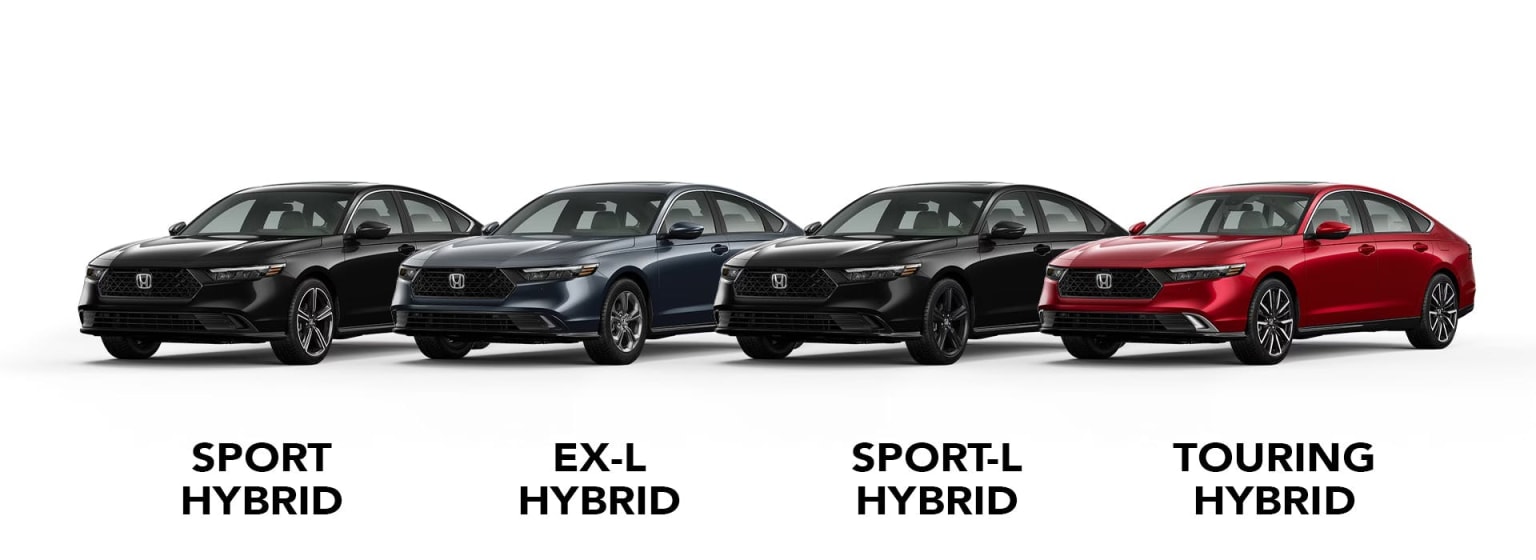 Four hybrid sedans - two black, one blue, and one red - lined up against a white background with their trim levels labeled below.