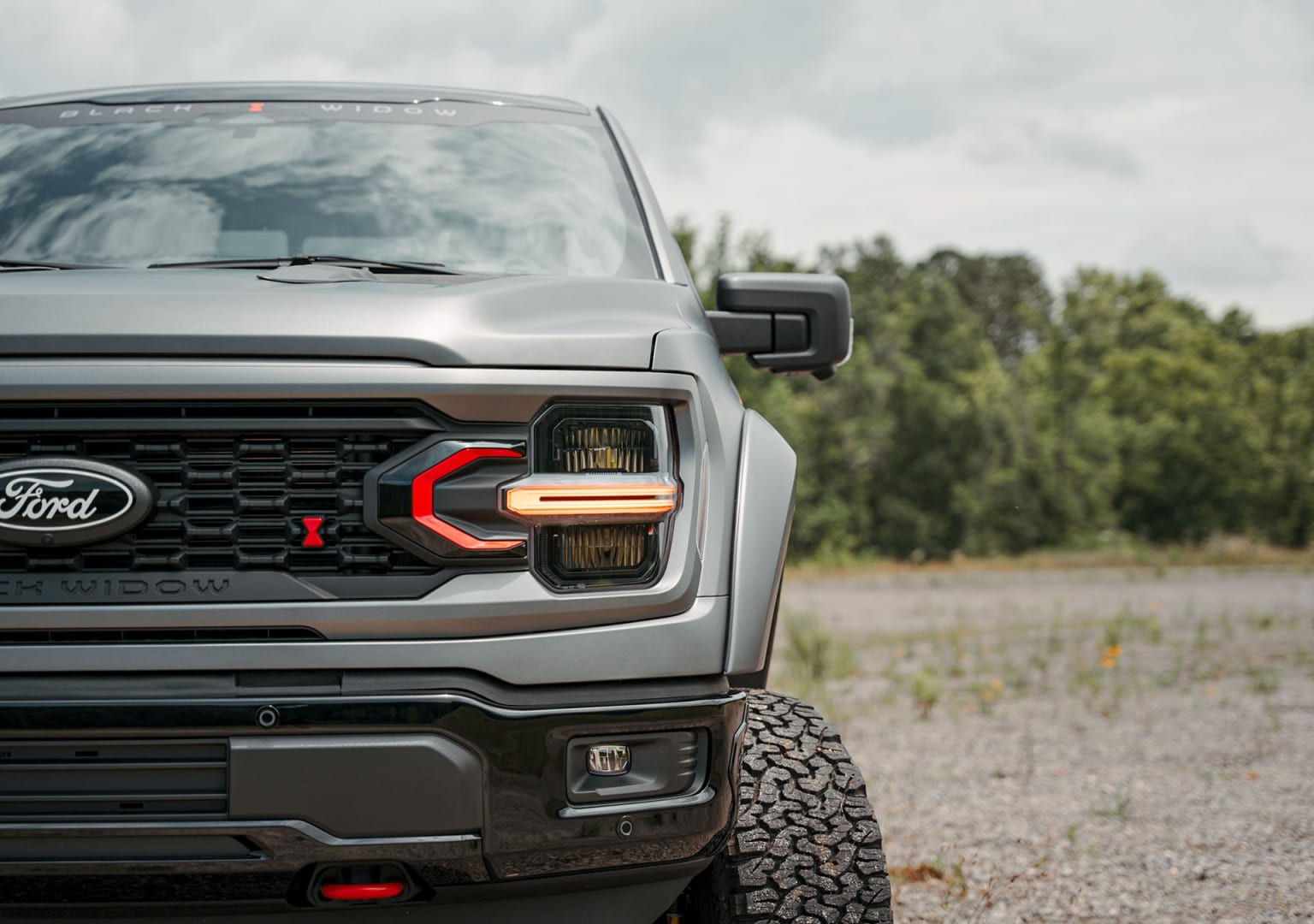 A rugged truck with a bold grille and off-road tires stands in a grassy field, surrounded by lush greenery and a cloudy sky.