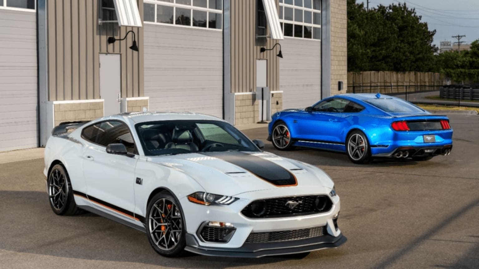 two ford mustangs parked in front of a building with a blue mustang car in front of it and a blue mustang car in front of it