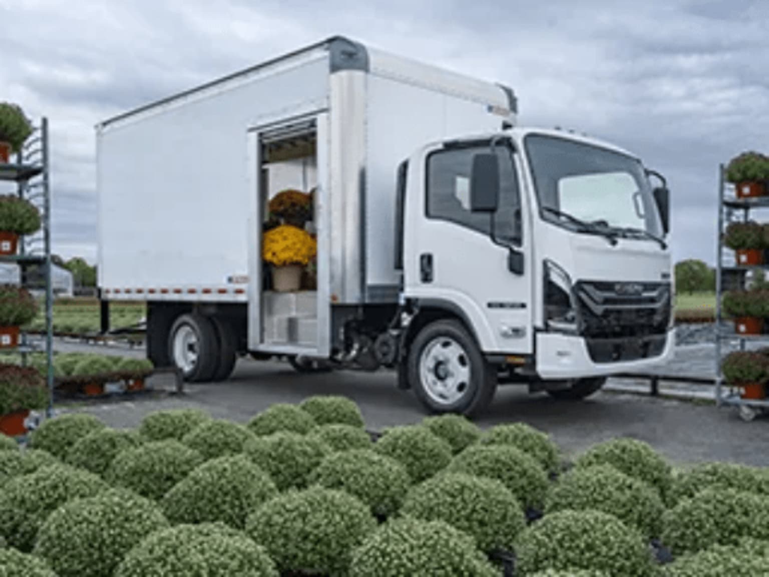 A white box truck parked in a nursery with rows of green plants in the foreground and more plants on racks in the background.