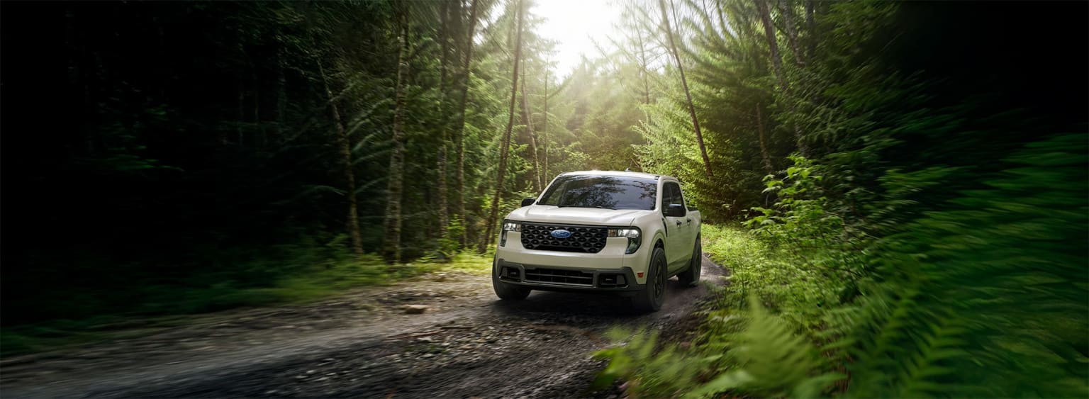 A white off-road vehicle navigates a dirt path through a lush, verdant forest, with sunlight filtering through the dense foliage.