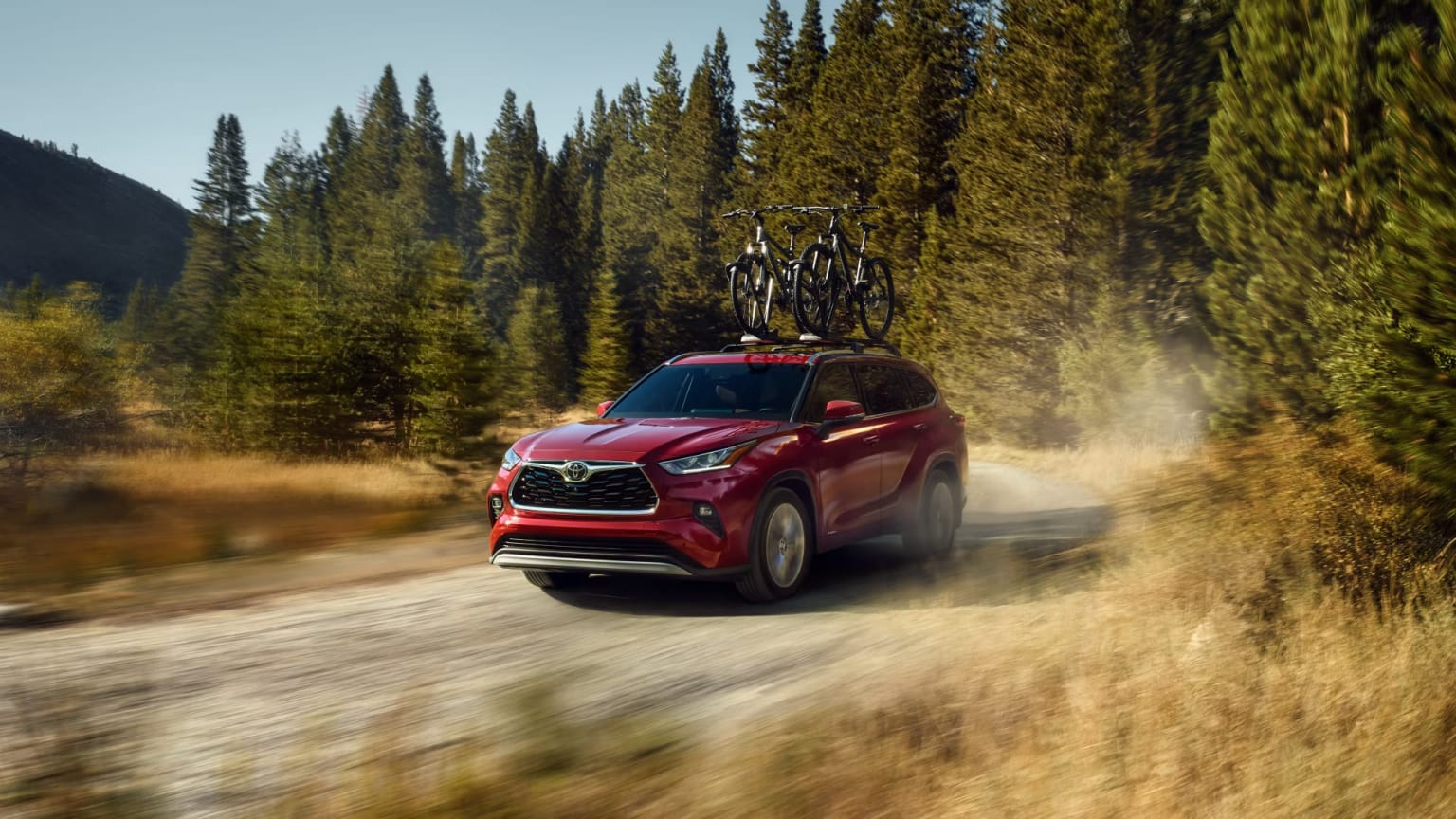 An SUV with a roof rack drives down a dirt road surrounded by tall pine trees and a mountainous landscape in the background.