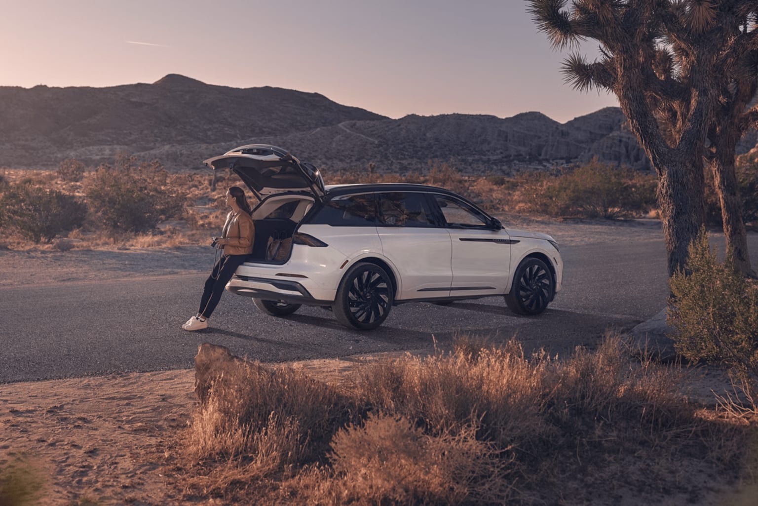 A white SUV parked in a desert landscape, with mountains and Joshua trees in the background, under a warm, hazy sky.