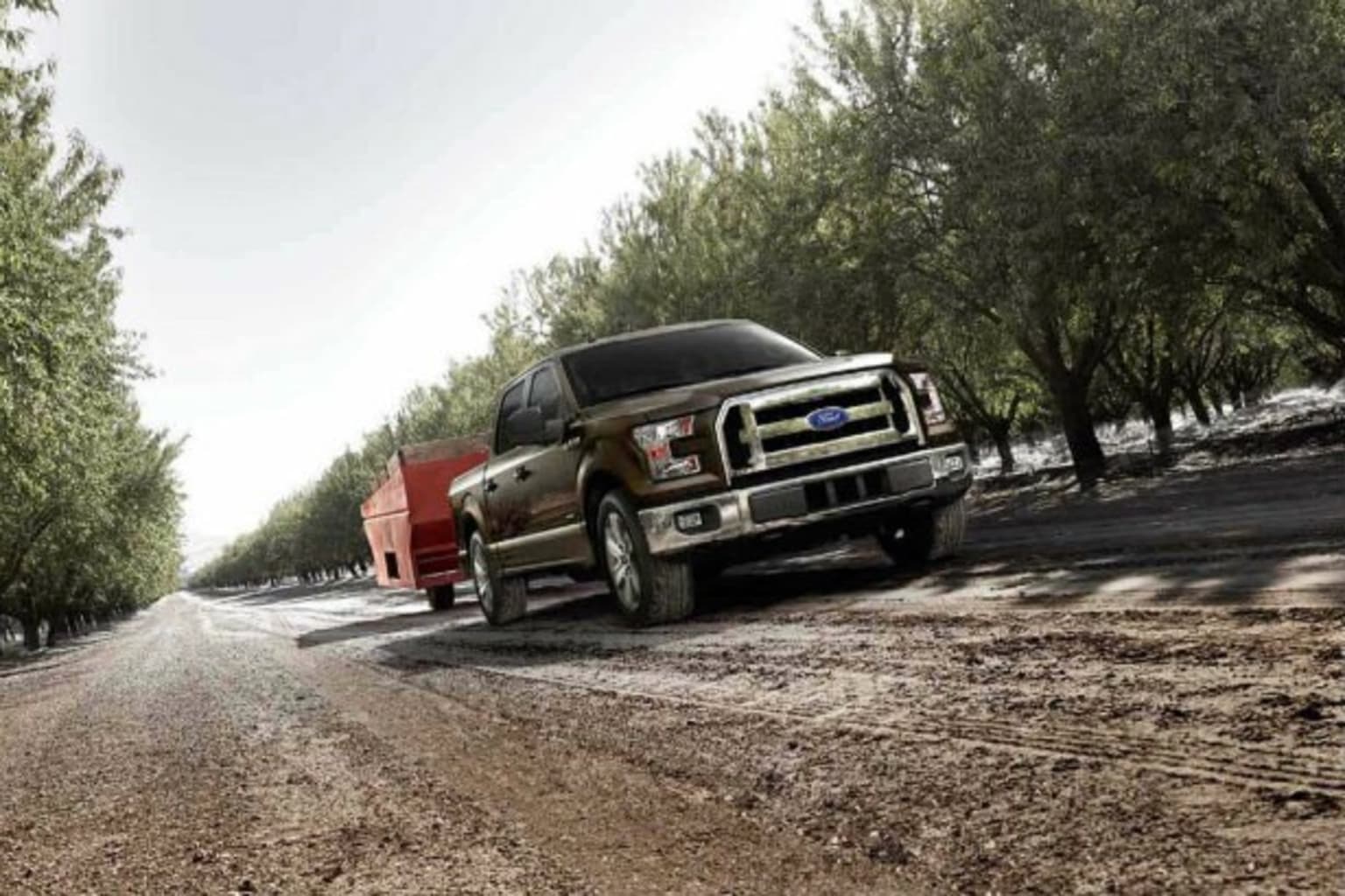 a red truck driving down a dirt road next to a row of trees on a sunny day in the country