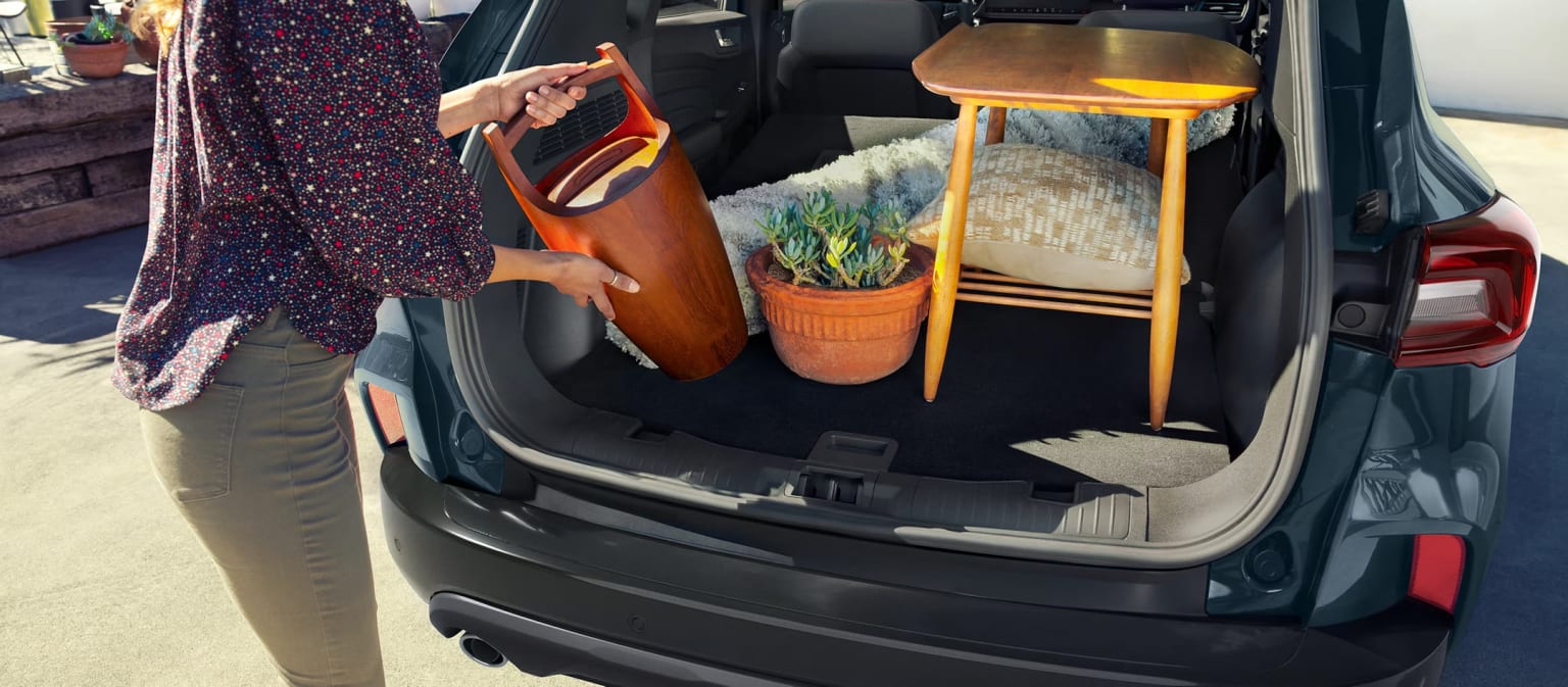 Interior of a vehicle's cargo area with various items such as a potted plant, a red bag, and other objects visible.