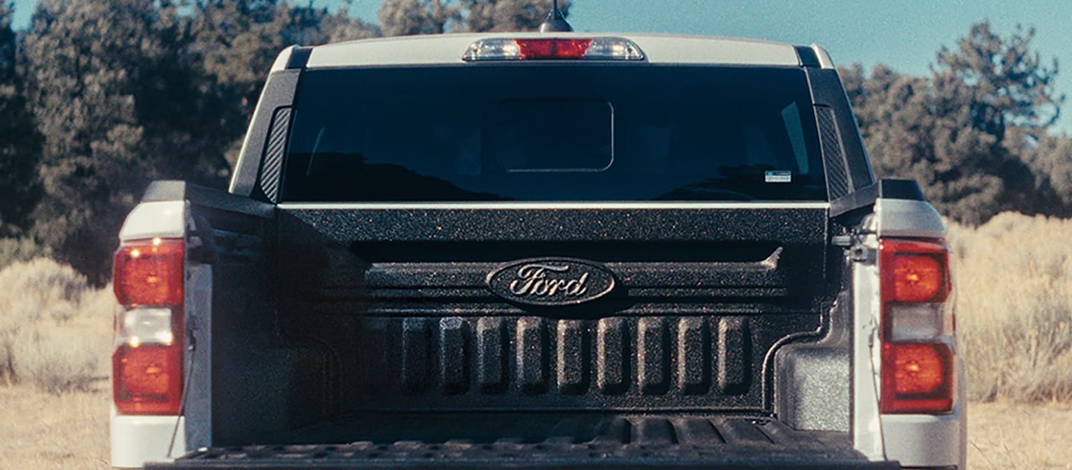 A black pickup truck with a grille and tailgate visible, set against a backdrop of snowy trees and a clear sky.