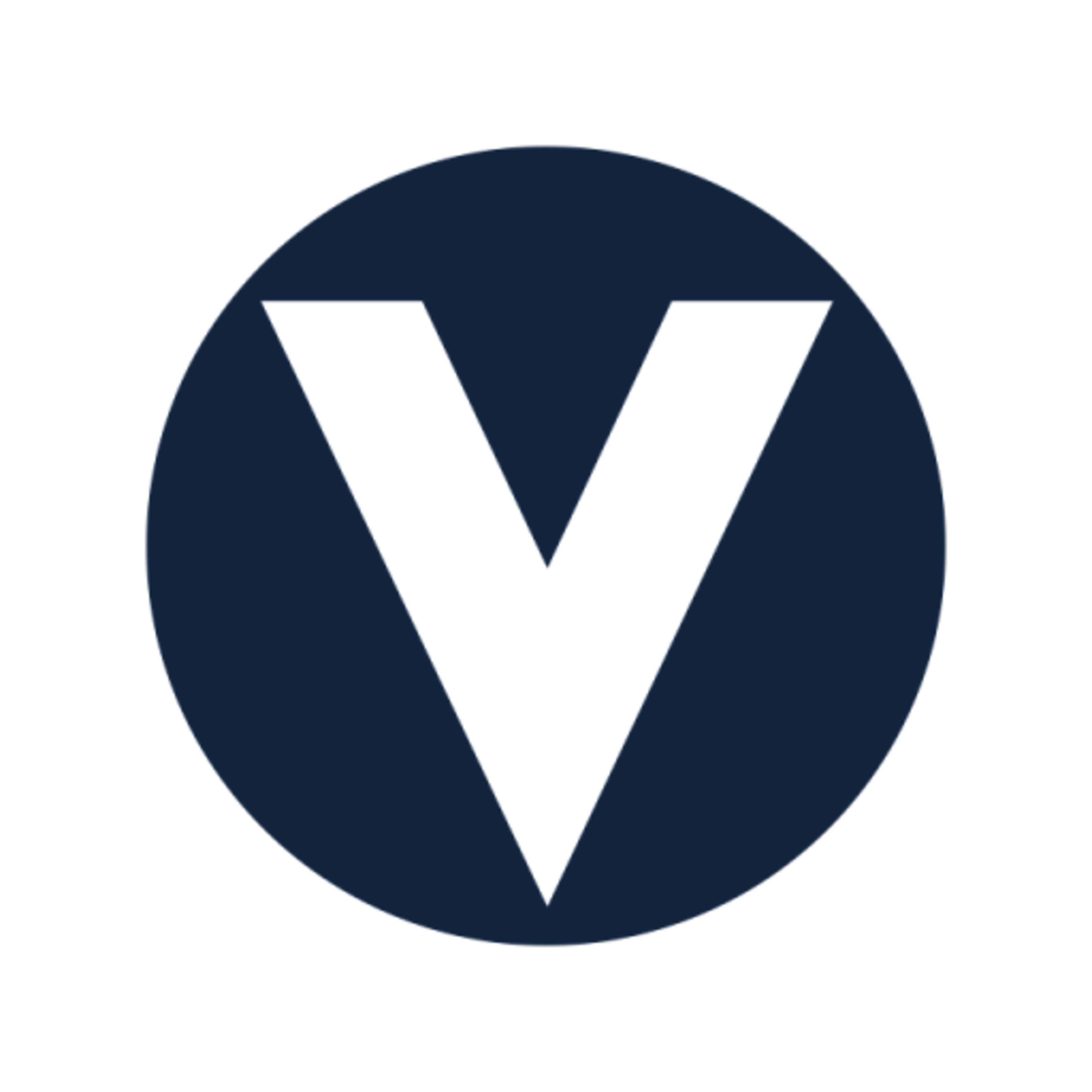 Screenshot of Team Velocity