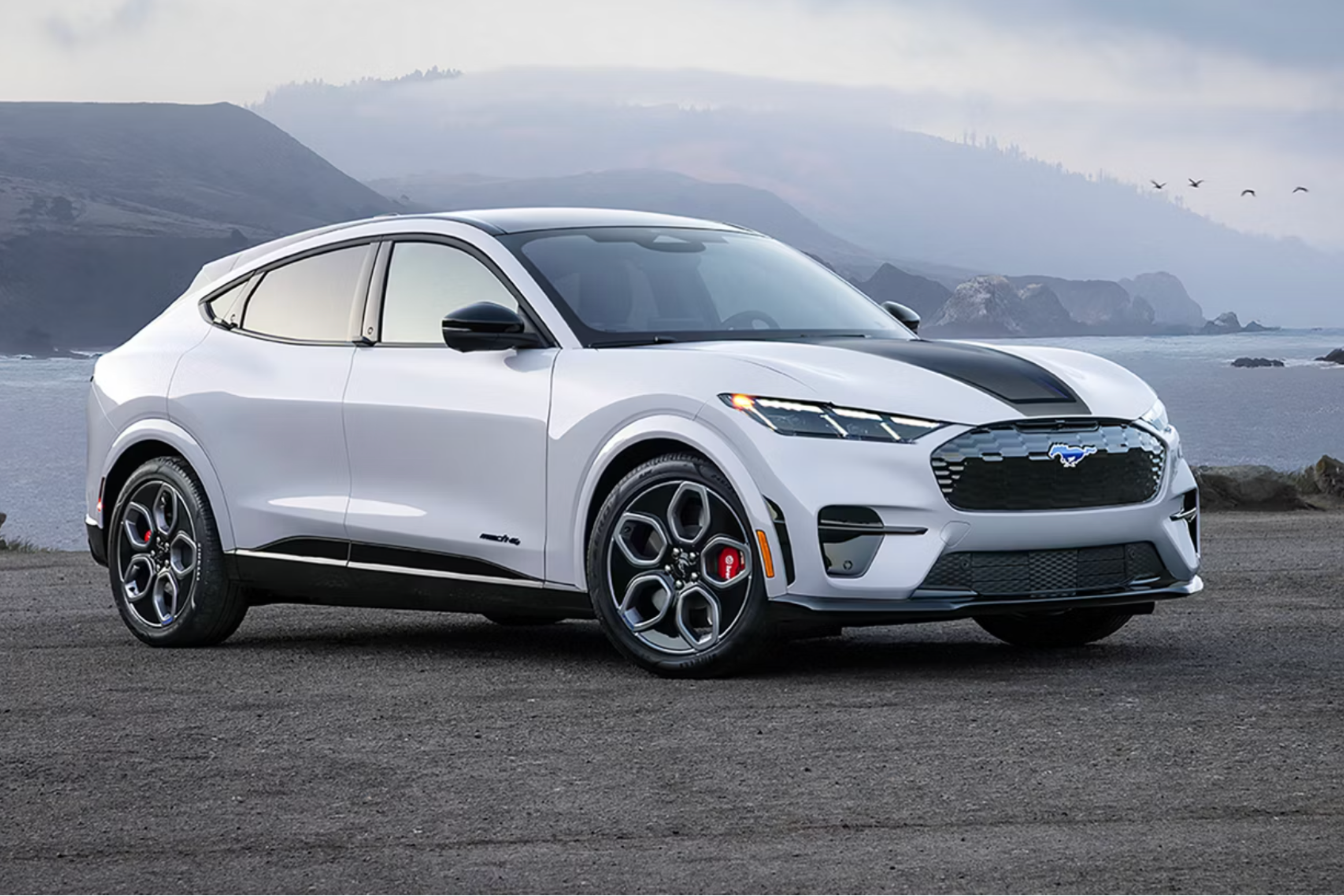 A white electric SUV with black racing stripes is parked on a rocky overlook with a coastal landscape and distant birds in the background.