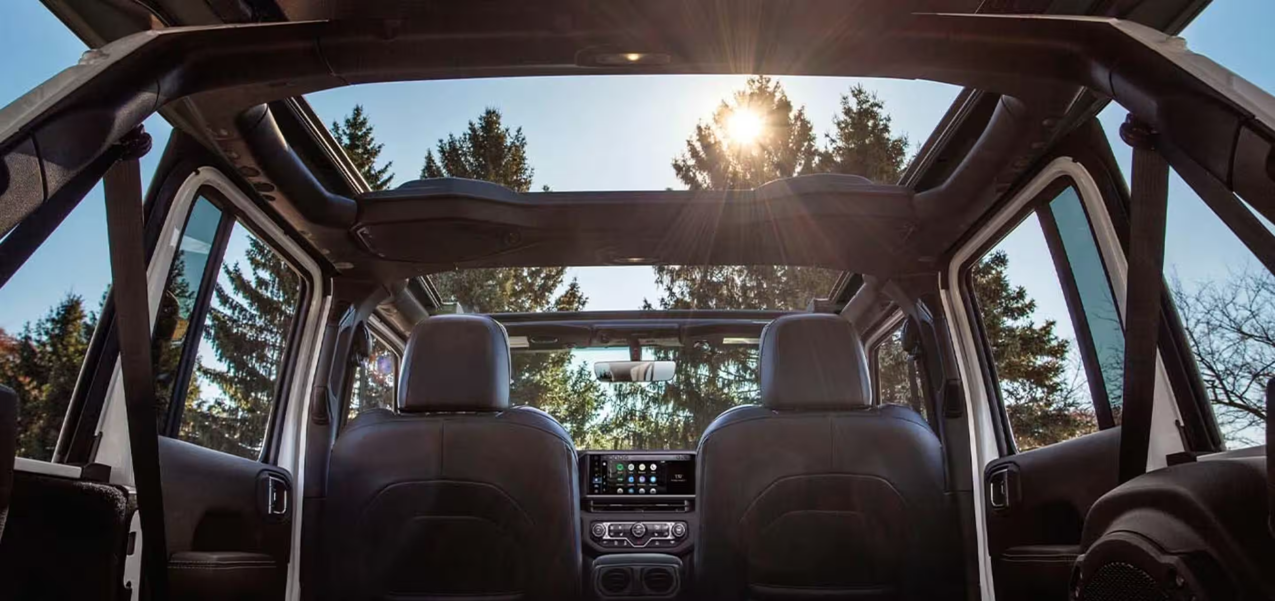 Interior of convertible car with open roof against sunny sky and tall evergreen trees