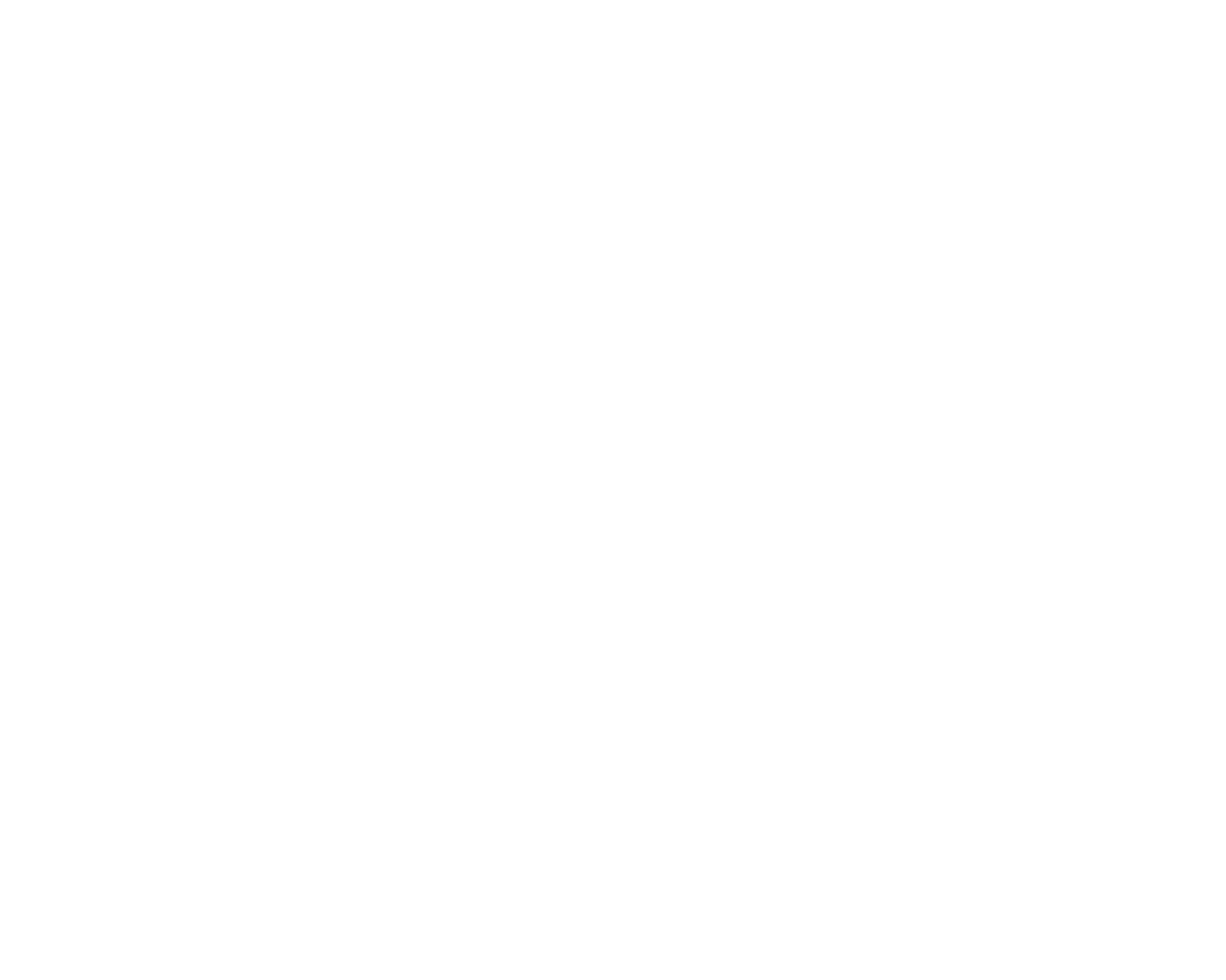 Novasolution coorporation logo