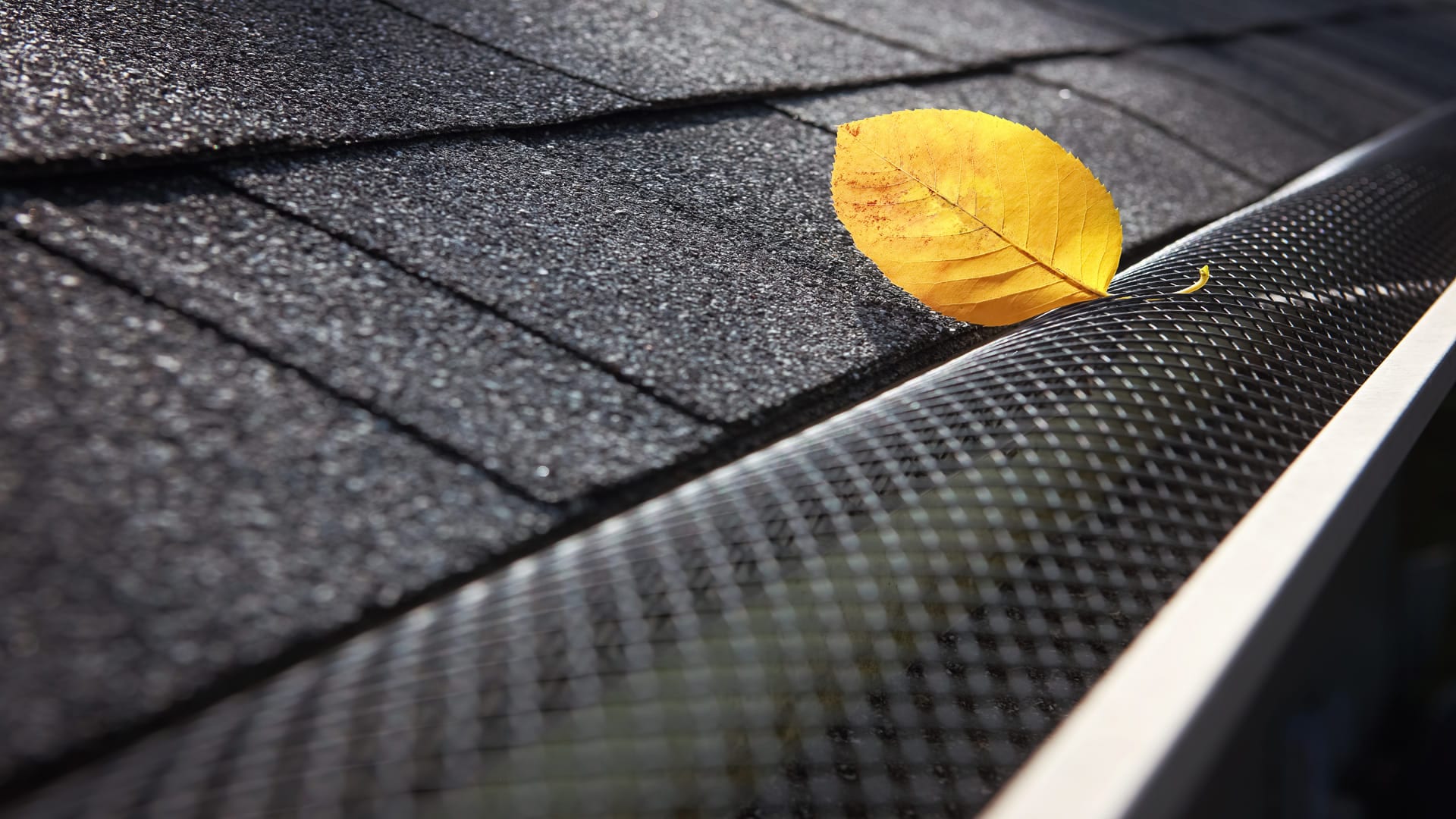 Roofing Installation