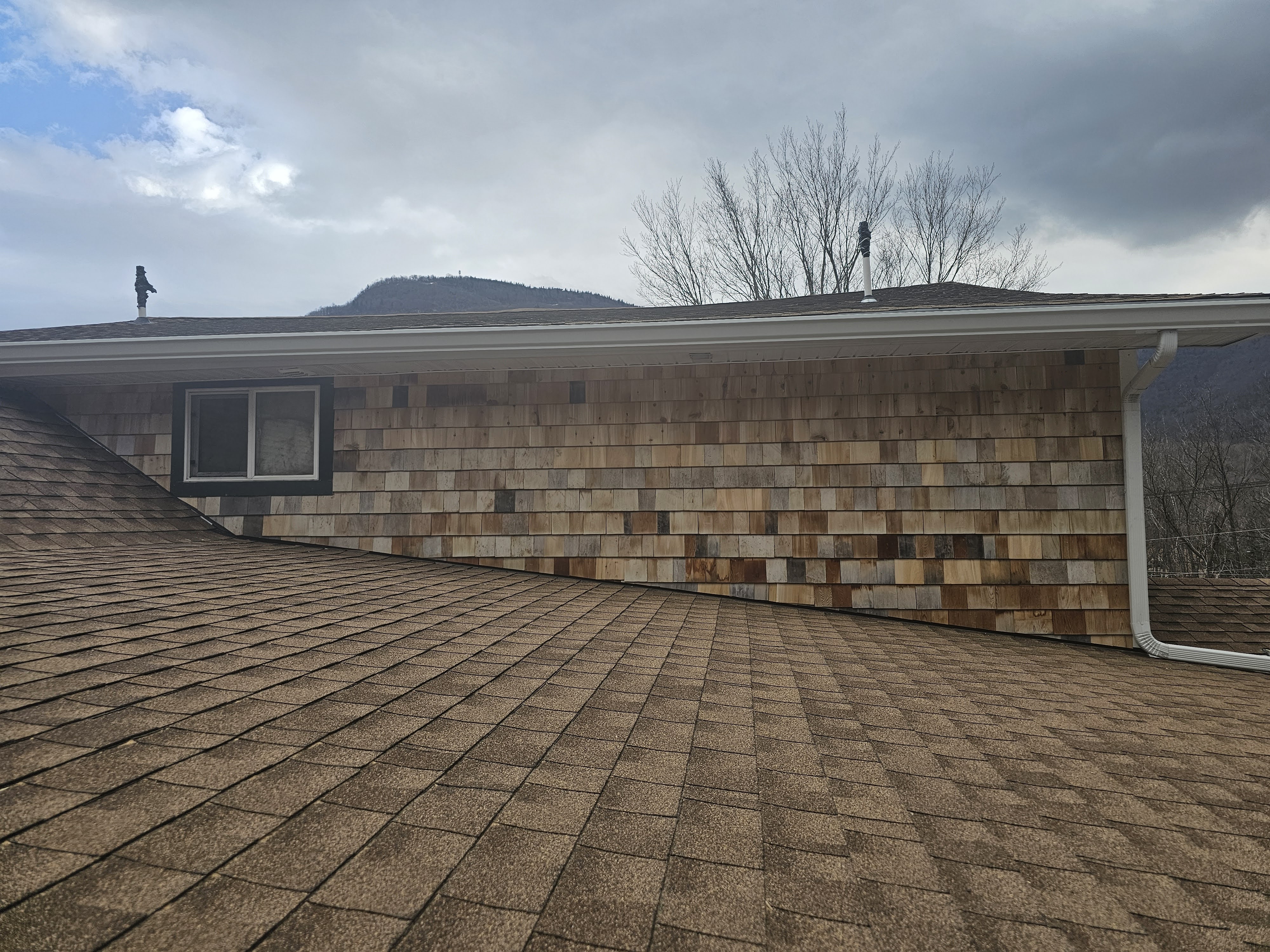 Premium Cedar Shake Siding & Advanced Weatherproofing