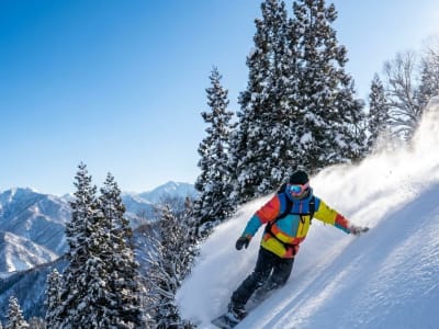 【2026年2月版】東京発スノーボード旅の最適解：移動・宿・コストを徹底攻略