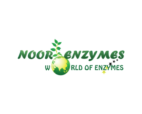 Noor Enzymes