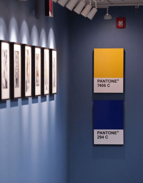 Michigan Creative's hallway ending in the maize and blue pantone color