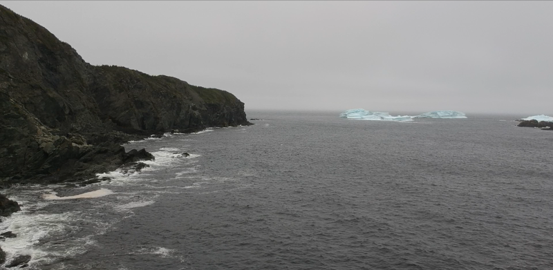 Newfoundland Cliffs 1