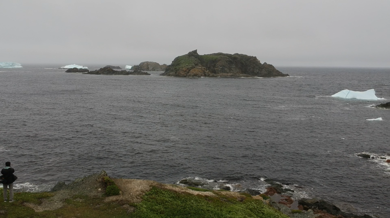 Newfoundland Cliffs 4