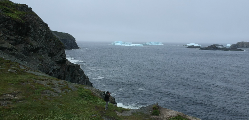 Newfoundland Cliffs 5