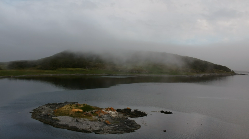 Newfoundland Fog 1