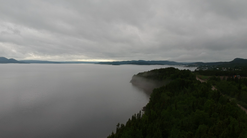 Newfoundland Fog 2