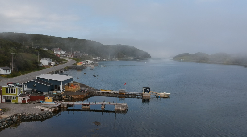 Newfoundland Fog 3