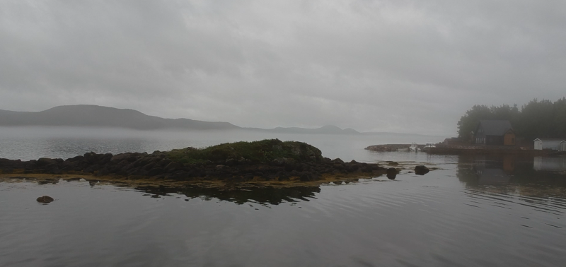 Newfoundland Fog 4