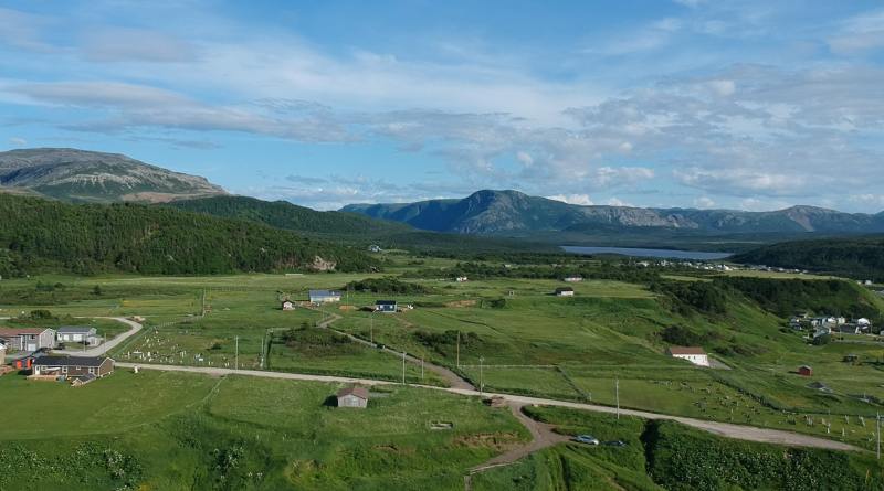 Newfoundland Hills 2
