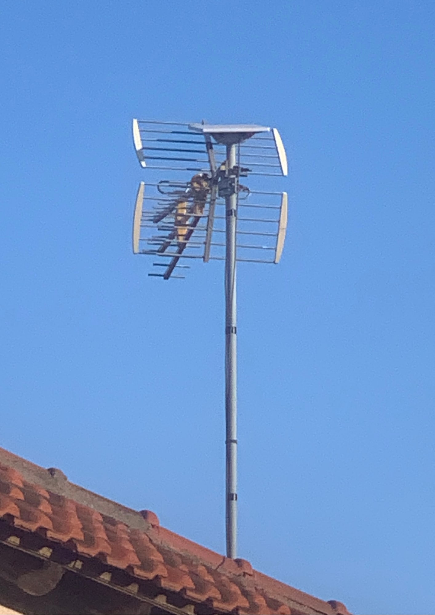 Starlink Wi-Fi