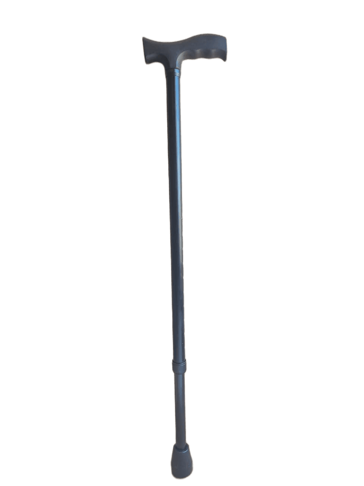 WALKING STICK