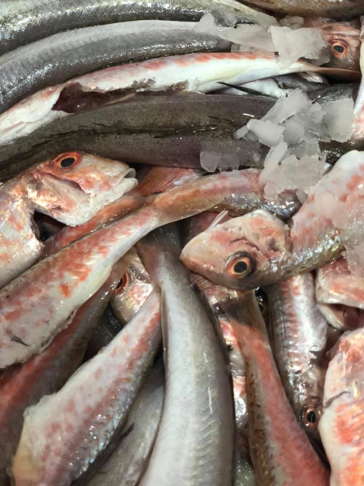 Recién Traído del Mercado - Imagen 2