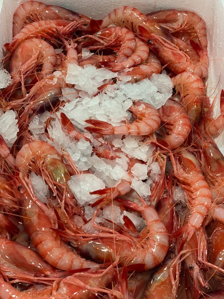 Recién Traído del Mercado - Imagen 1