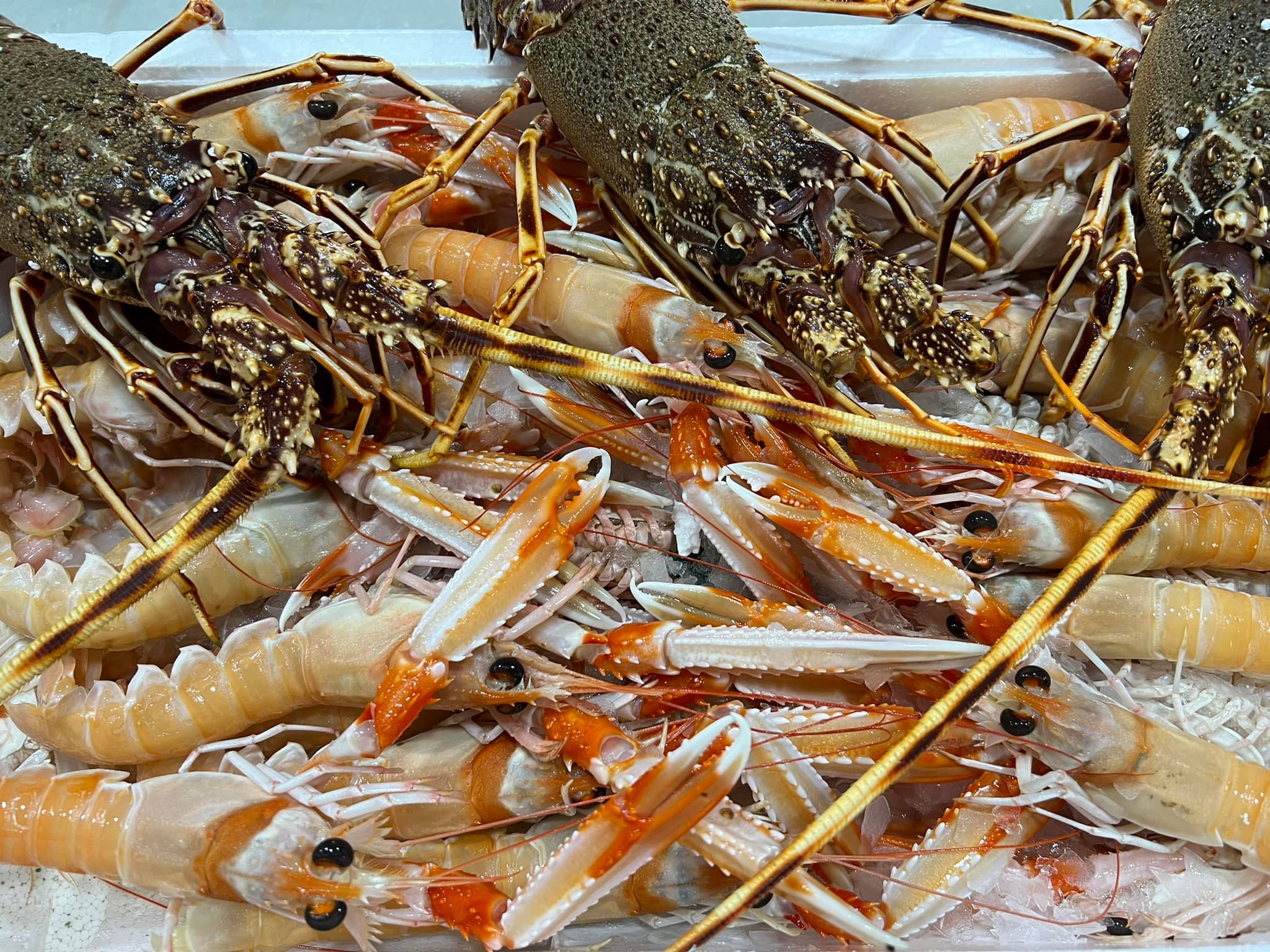 Recién Traído del Mercado - Imagen 3