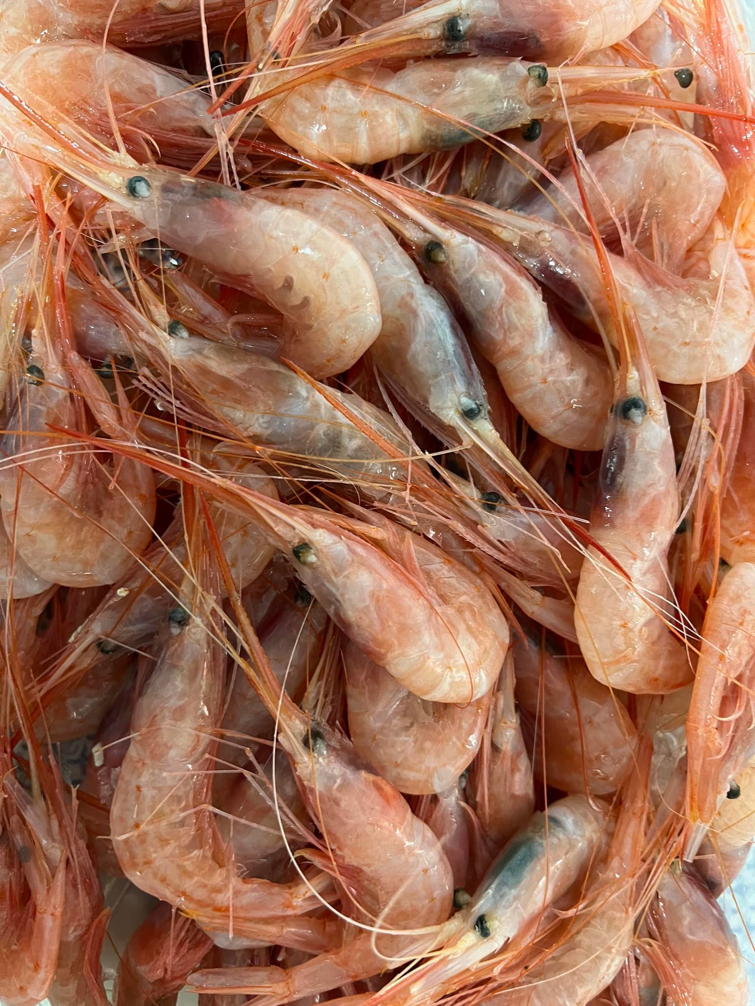 Recién Traído del Mercado - Imagen 4