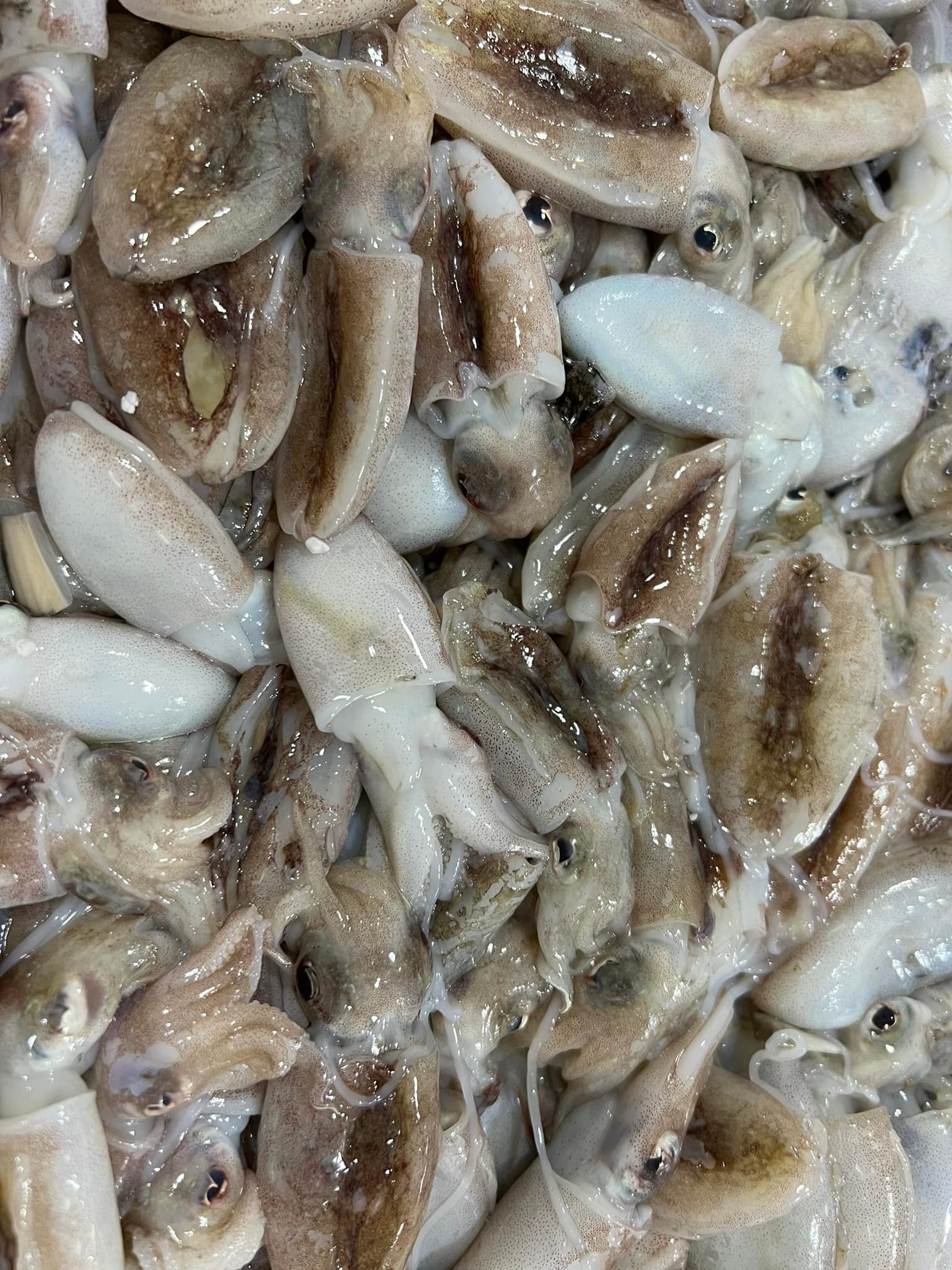 Recién Traído del Mercado - Imagen 5