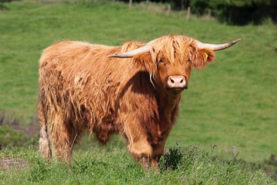 zfwqlq8fbuffsjixhfk2