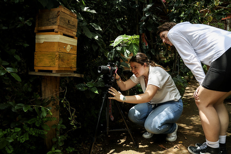 Filming at an apiary, Guatemala