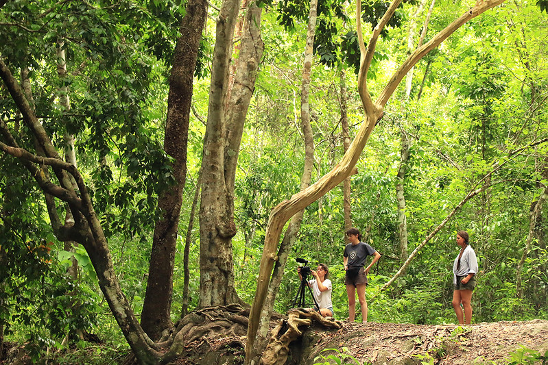 Filming in the jungle, Belize