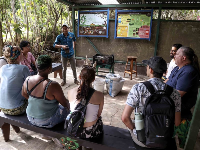 A working coffee farm in the Antigua valley