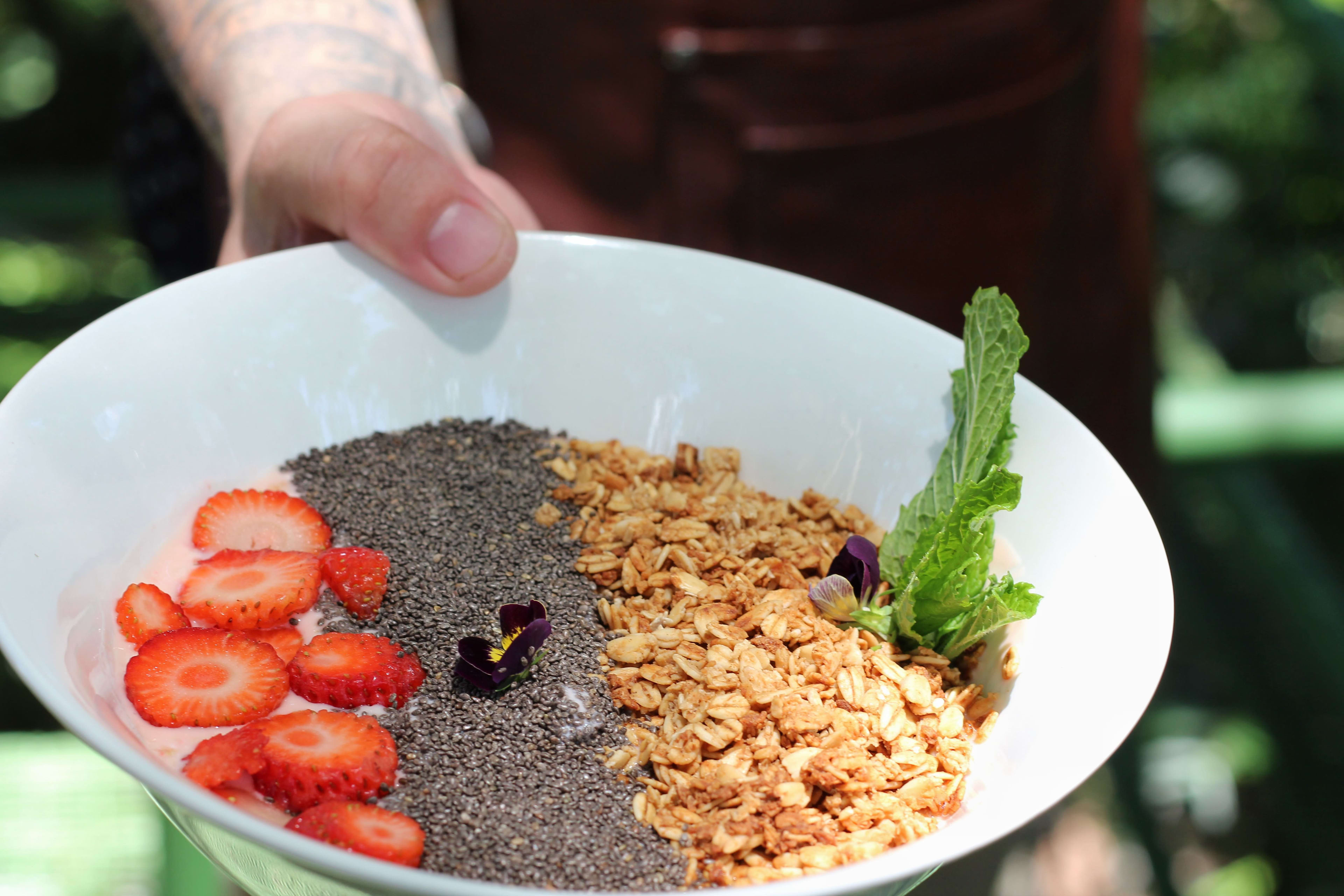 Ensalada fresca con granola, yogurt, fresas y miel artesanal.