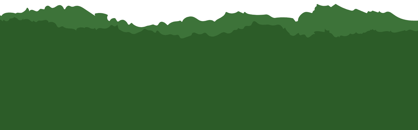 Footer background