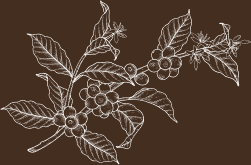 coffee Image