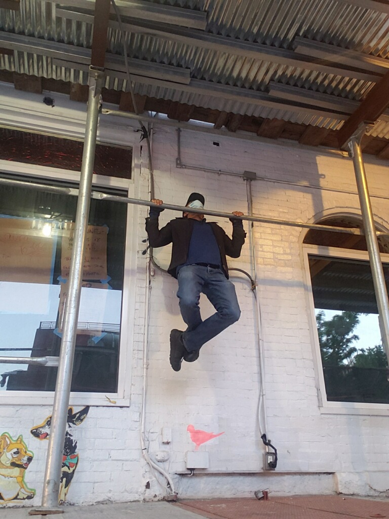 The Corgie, The Hound, and The Pink Dove Pull Up