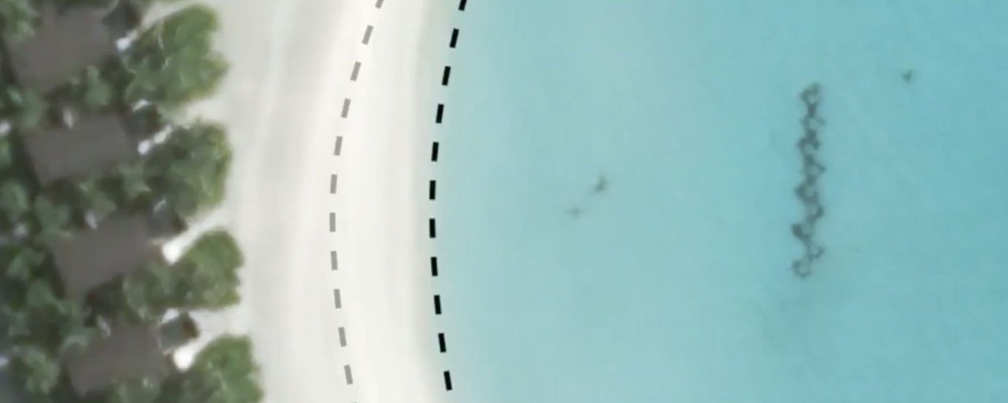 The First AI Grown Land By Coastal Assembly