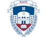Mari State University  logo