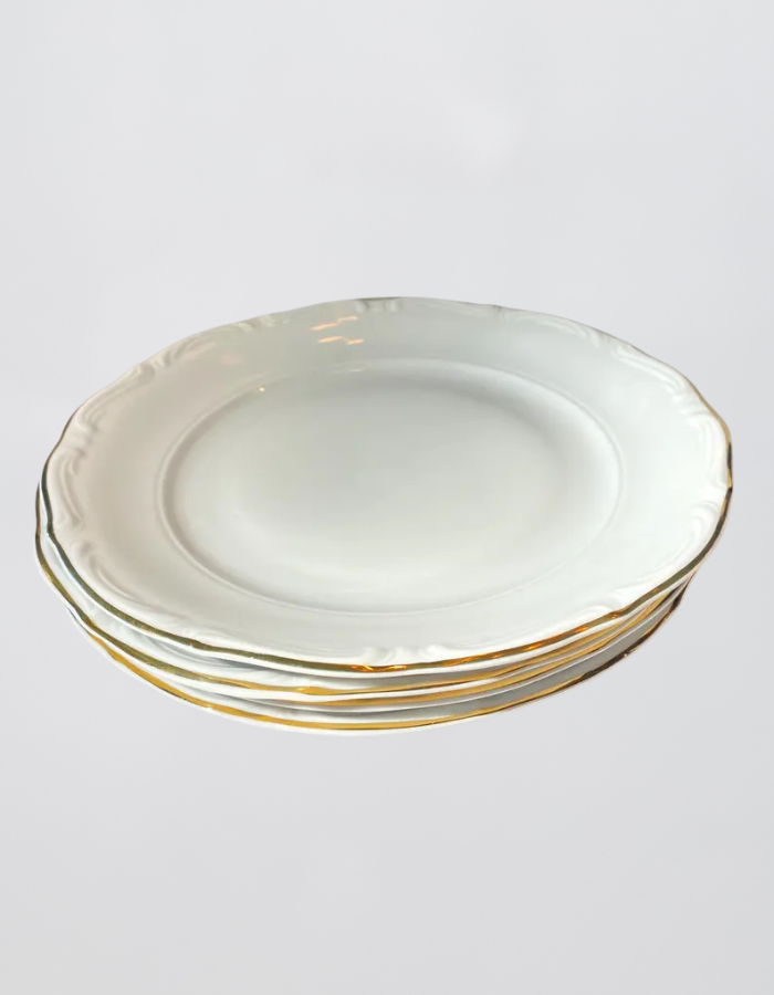 Classic Porcelain Dinner Plate Set (Set of 4)